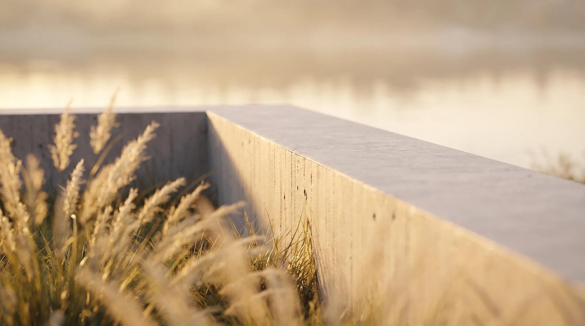 Detail of the concrete terrace wall with grasses in warm backlight