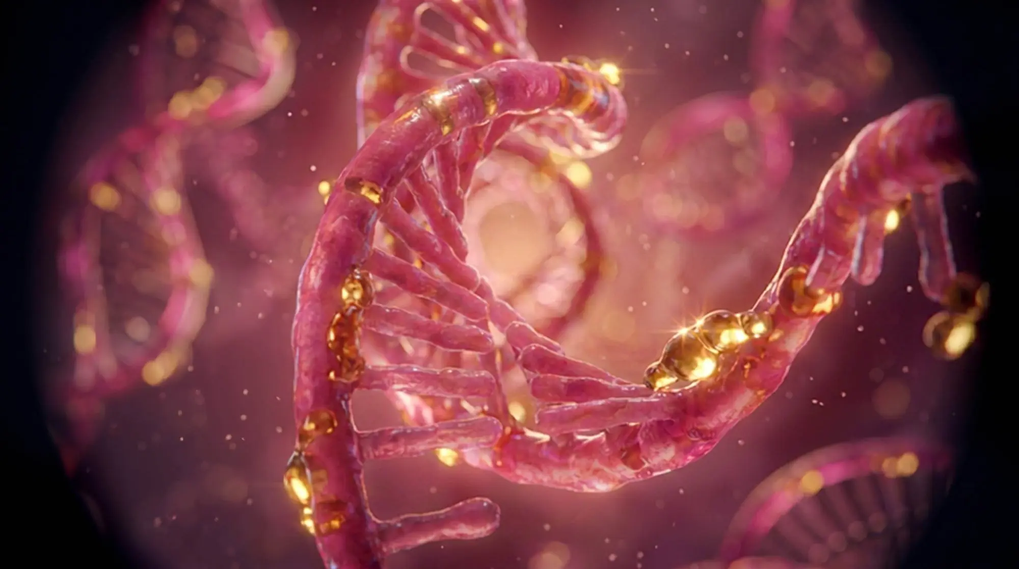mRNA double helix with gold connector elements on dark background — molecular close-up